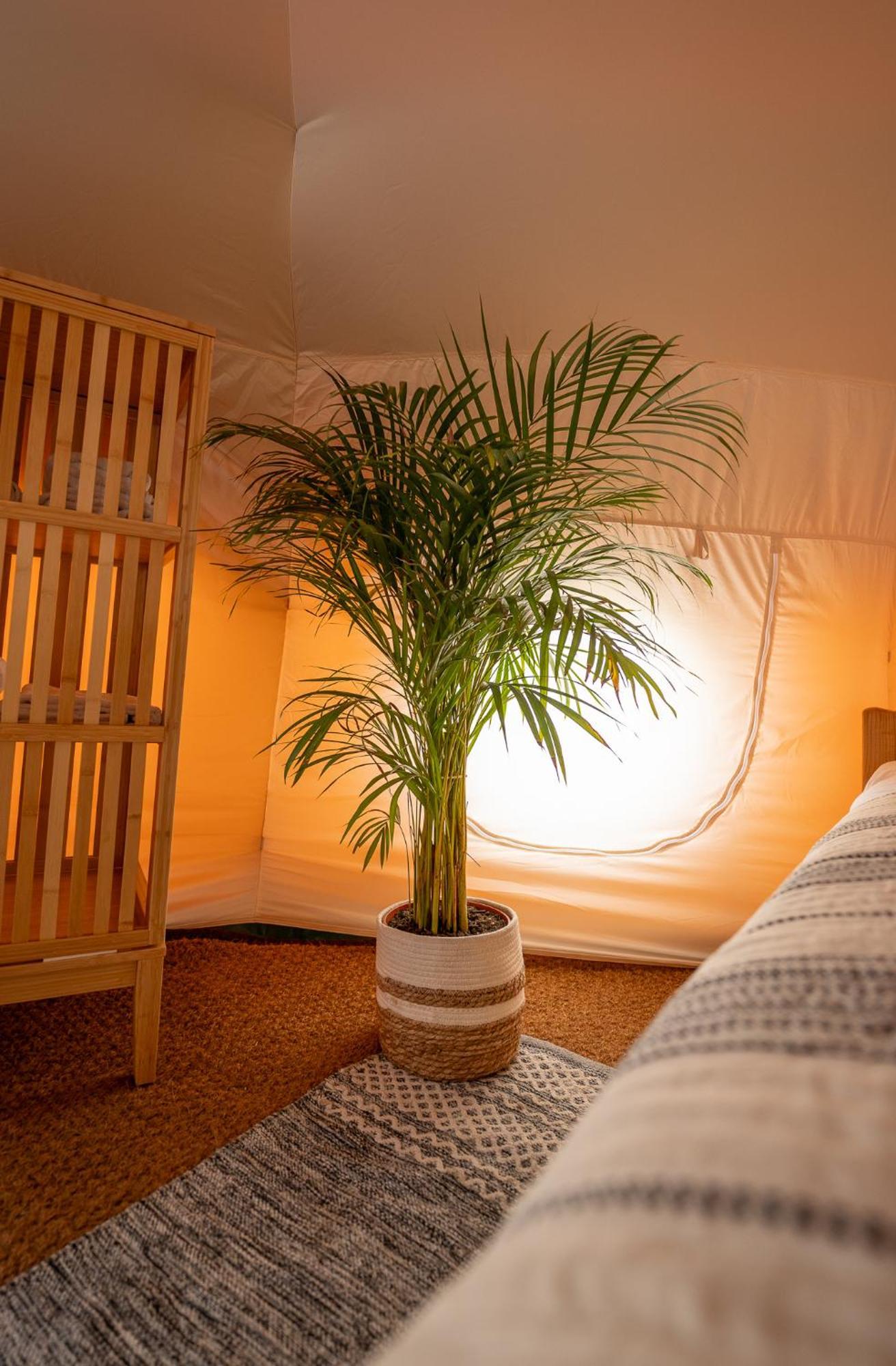 Glamping Gozdna Jasa Hotel Бовец Екстериор снимка
