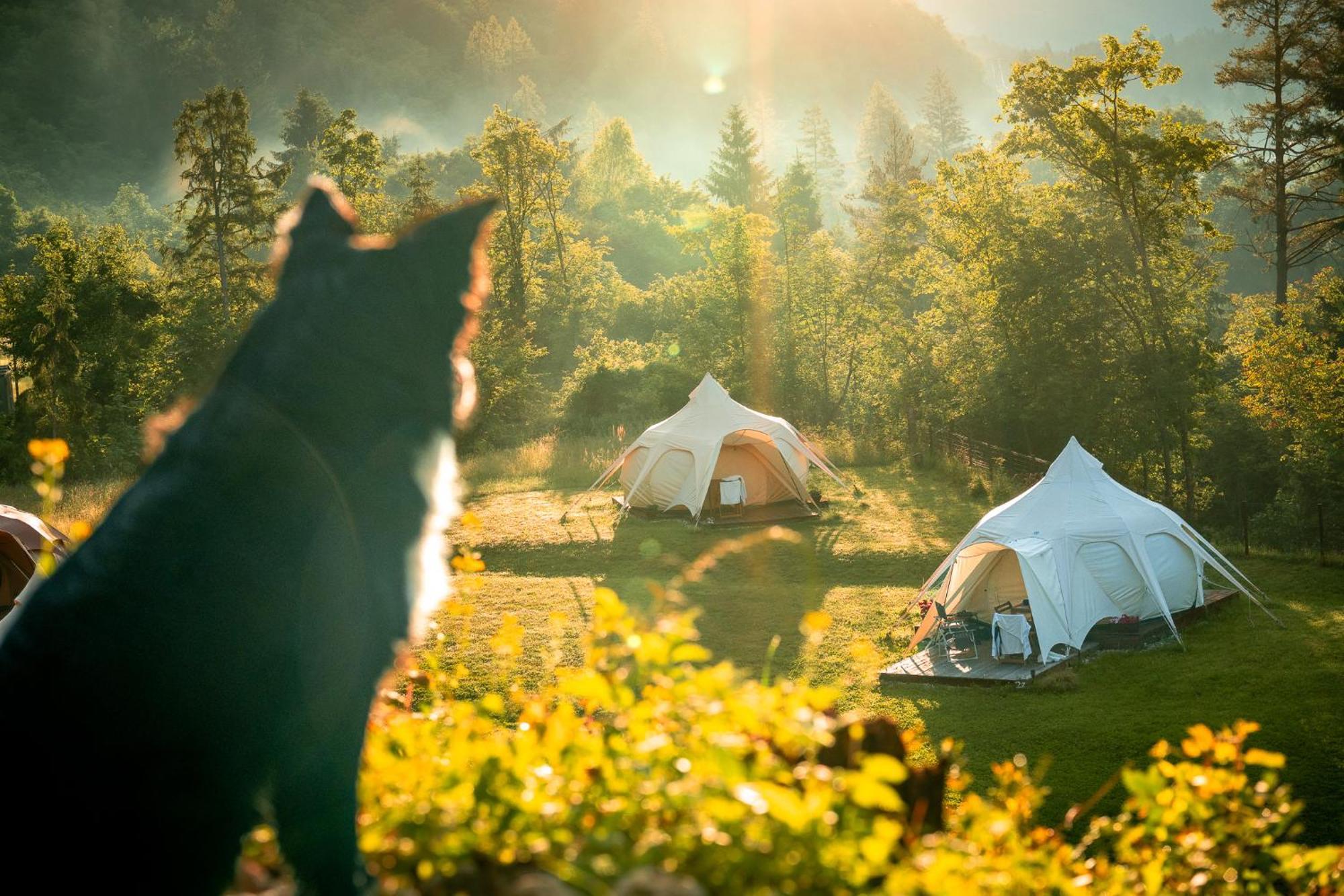 Glamping Gozdna Jasa Hotel Бовец Екстериор снимка